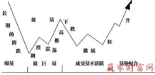 形態(tài)示意