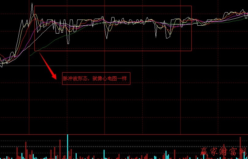 底部形態(tài)