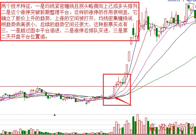 漲停板案例