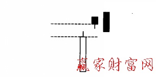 雙飛烏鴉