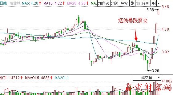 圖1 某商業(yè)城短線暴跌震倉(cāng).jpg