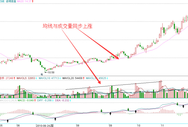 啟明信息日K線