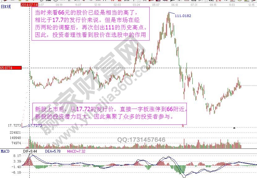 新股投資潛力