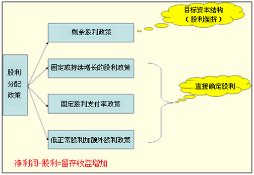 公司的股利分配政策