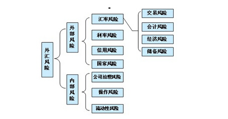 外匯風險分析