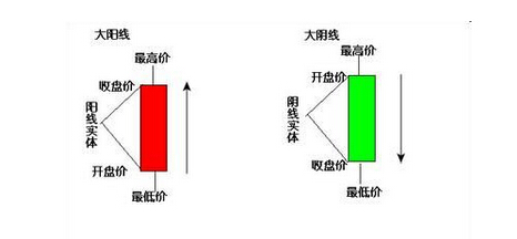 大陽線和大陰線