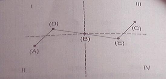 亞當(dāng)理論的對稱性