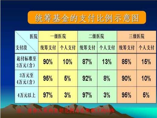 統籌基金支付比例