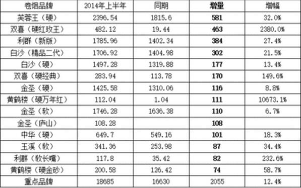 公司分析