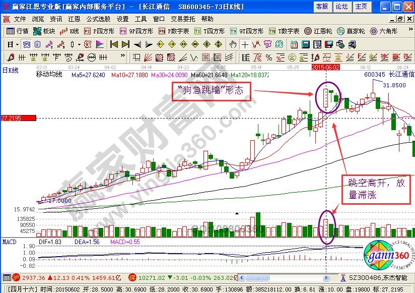 “狗急跳墻”形態(tài)運用