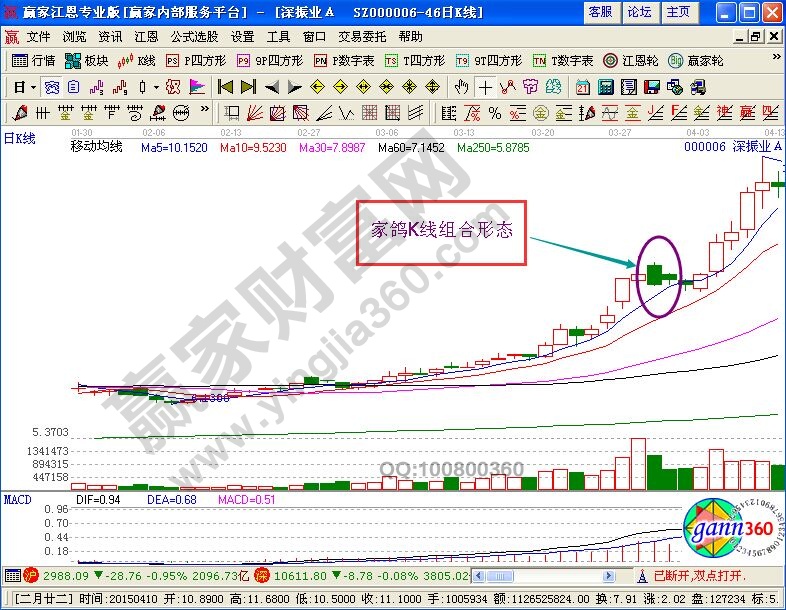 家鴿K線組合形態(tài)