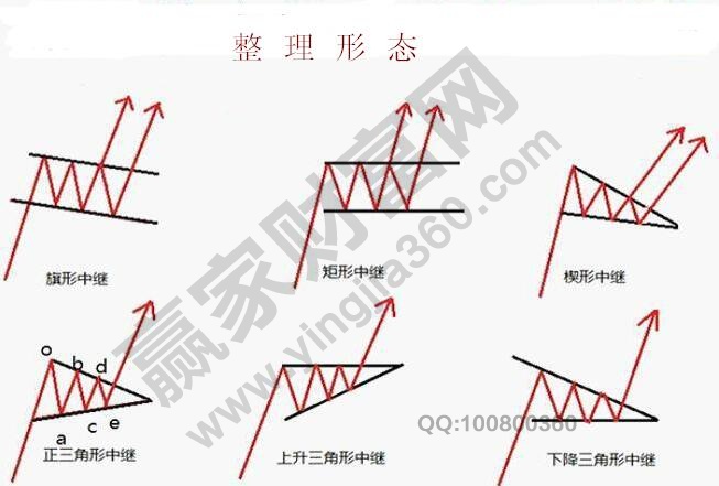 整理形態(tài)