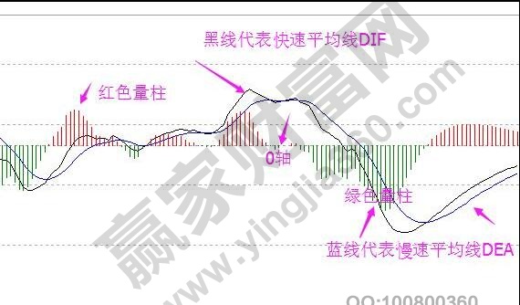 macd 基本構成