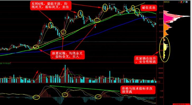 波浪式推進(jìn)的黑馬形態(tài).jpg