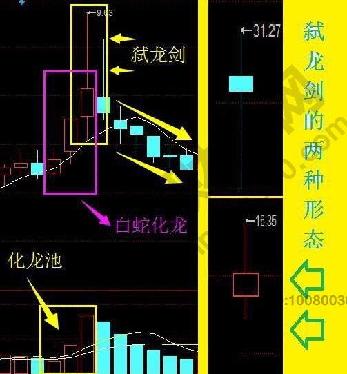 白蛇化龍形態(tài).jpg