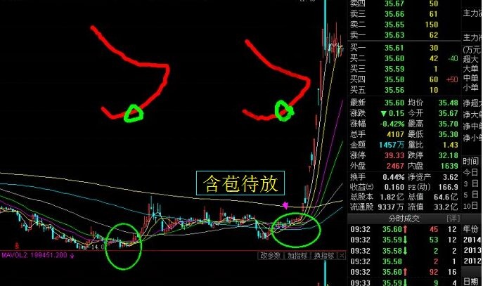 含苞待放走勢.jpg