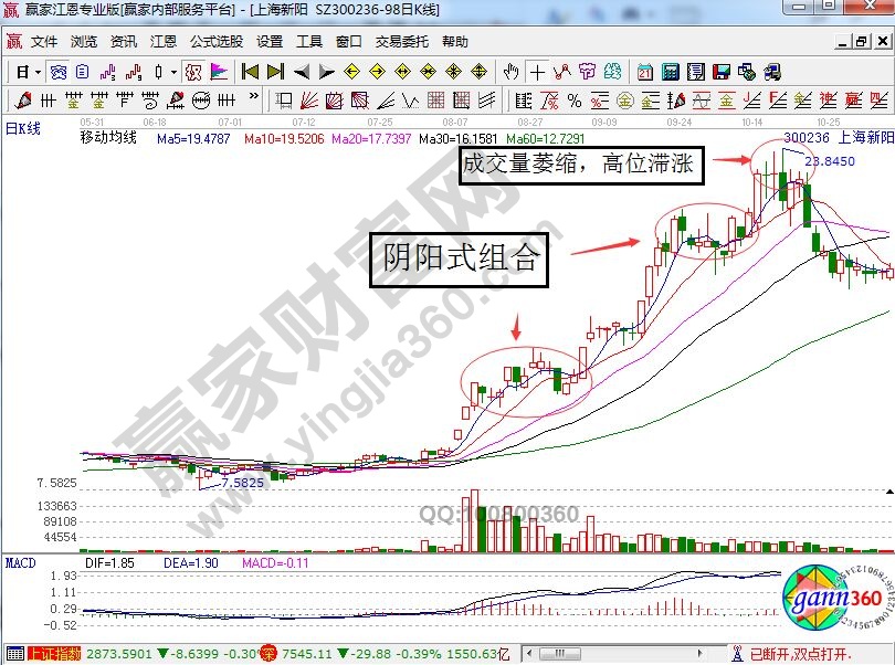 上海新陽.jpg